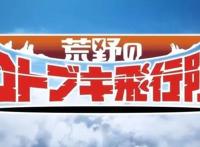 国内没有引进这部动画可惜了！作画一流，还能硬核教你开飞机