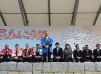 奇葩痛战车集结！《少女与战车》线下祭典大会盛况直击