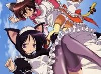 动漫：二次元就是好，能开这么多后宫妹子！