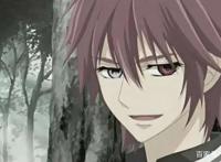 《吸血鬼骑士》六大贵族吸血鬼，你爱了吗？