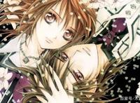 《吸血鬼骑士》－日本少女漫的闪耀明星