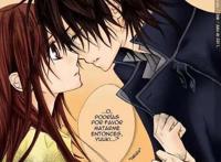 《吸血鬼骑士》－日本少女漫的闪耀明星