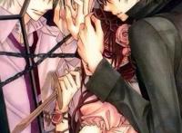 《吸血鬼骑士》－日本少女漫的闪耀明星