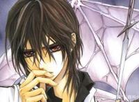 吸血鬼骑士：一部美男云集的神转折动漫