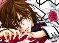 《吸血鬼骑士》动漫不再更新，优姬的感情归属石锤，漫画给了答案