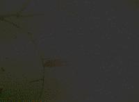 《复联4》，梁朝伟，刀锋战士，SDCC漫威连爆猛料