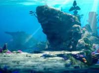 11年IP再次启航《潜艇总动员：外星宝贝计划》定档6.1