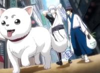 junp评选66部让人泪目的动漫，鬼灭之刃票数第2，火影仅排第6