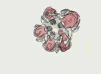 《灌篮高手》电影版定档！湘北和山王全国大赛一战？晴子嫁给谁？