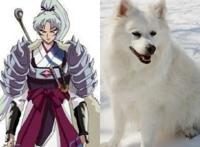 当犬夜叉一家真的变成狗时，杀生丸变成萨摩耶，网友：难以接受！