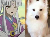 当犬夜叉一家真的变成狗时，杀生丸变成萨摩耶，网友：难以接受！