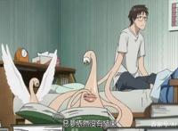 最近发生的疫情，这部动漫其实早就告诉了我们答案