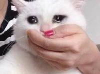 回忆杀！盘点陪伴90后整个童年的动漫作品，看完热泪盈眶