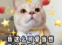 儿童节，你收到礼物了吗？