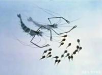 从《哪吒》看国漫的发展之路……