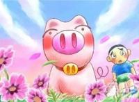 猪年到了，动漫里各种不同的卡通猪，你还记得多少？