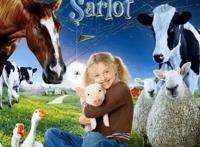 那么多猪的经典，哪部是你心头好？