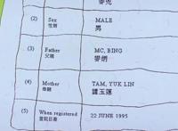 麦兜今天25岁，我才刚刚看懂他的故事｜原创