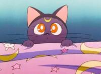 美少女战士中的露娜化形后好美，相貌不输月野兔