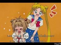 《美少女战士》与《魔卡少女樱》合体！和雪兔同框的海王满好害羞