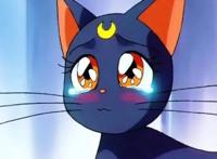 美少女战士：童年没有“注意”的剧情，现在看网友们都有点害羞了