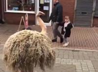 圣诞节要到了，外国人开启了神COS模式