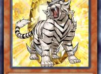 游戏王决斗链接：重坑宝玉兽也能天梯翱翔，这才是真正的家人卡组