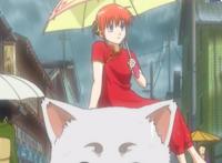 银魂为什么那么好看？怪不得坂田银时是动漫最想嫁的男主第一名