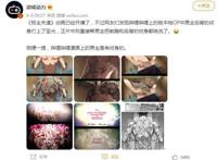 《极主夫道》动画PPT开播，太有后街女孩的感觉，只是纹身被洗了