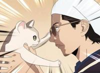 《极主夫道》动画PPT开播，太有后街女孩的感觉，只是纹身被洗了