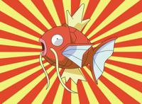 《龙先生，想要买个家》您就是鲤鱼王吗？