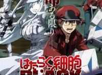 史上最强！神仙打架！2021年1月新番导视