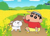 蜡笔小新：消失的4个老熟人，松阪老师男友身亡，新子是未来小葵