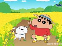 蜡笔小新还在周更！近30年来从未停更的国民动漫竟鲜为人知？