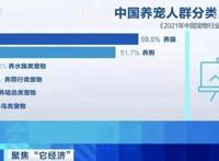 “养猫人超过养狗人”上热搜，原来这个年龄段是养宠主力军