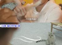 养狗和养猫的人会产生的10大共鸣：当你回家时它会主动接你吗？