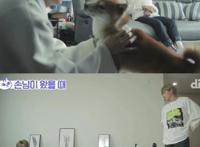 养狗和养猫的人会产生的10大共鸣：当你回家时它会主动接你吗？