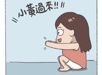 养猫人士与养狗人士的真实区别，乐翻天