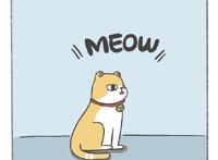 养猫人士与养狗人士的真实区别，乐翻天