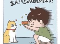 养猫人士与养狗人士的真实区别，乐翻天