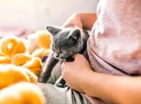 养猫的人VS养狗的人，看猫和狗是如何对待主人的