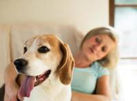 养猫的人VS养狗的人，看猫和狗是如何对待主人的