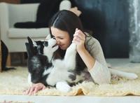 乐不乐意养猫养狗，说到底可能跟这个方面的原因有关