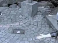 养猫的人VS养狗的人，画面太真实！