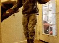 养猫的人VS养狗的人，画面太真实！