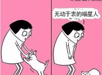 有一些瞬间，让人感觉养狗比养猫要好一些！
