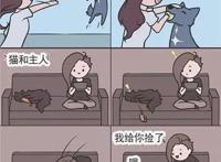 有一些瞬间，让人感觉养狗比养猫要好一些！