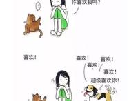 有一些瞬间，让人感觉养狗比养猫要好一些！