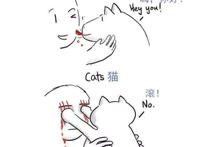 20张猫狗的行为对比图，养狗和养猫就像同一时空的不同故事线