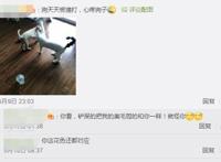 养猫又养狗是一种什么样的体验？评论区的人开始心疼狗子……